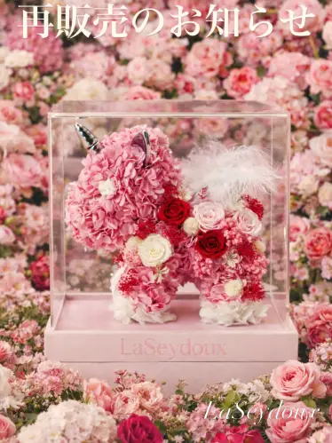 再販売のお知らせ 完…