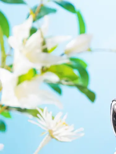 お花でできたユニコー…