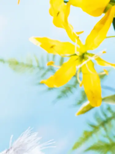 お花でできたユニコー…