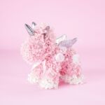 LaSeydoux - ラ・セドゥブランデー